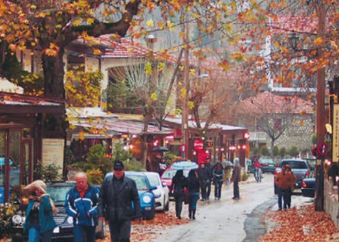 Spring Harmony Pigi Trikala (Thessaly)